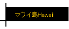 }ECHawaii